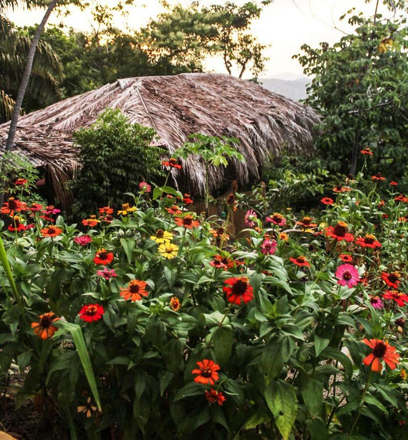 Sol De Minca Eco Lodge Exterior foto